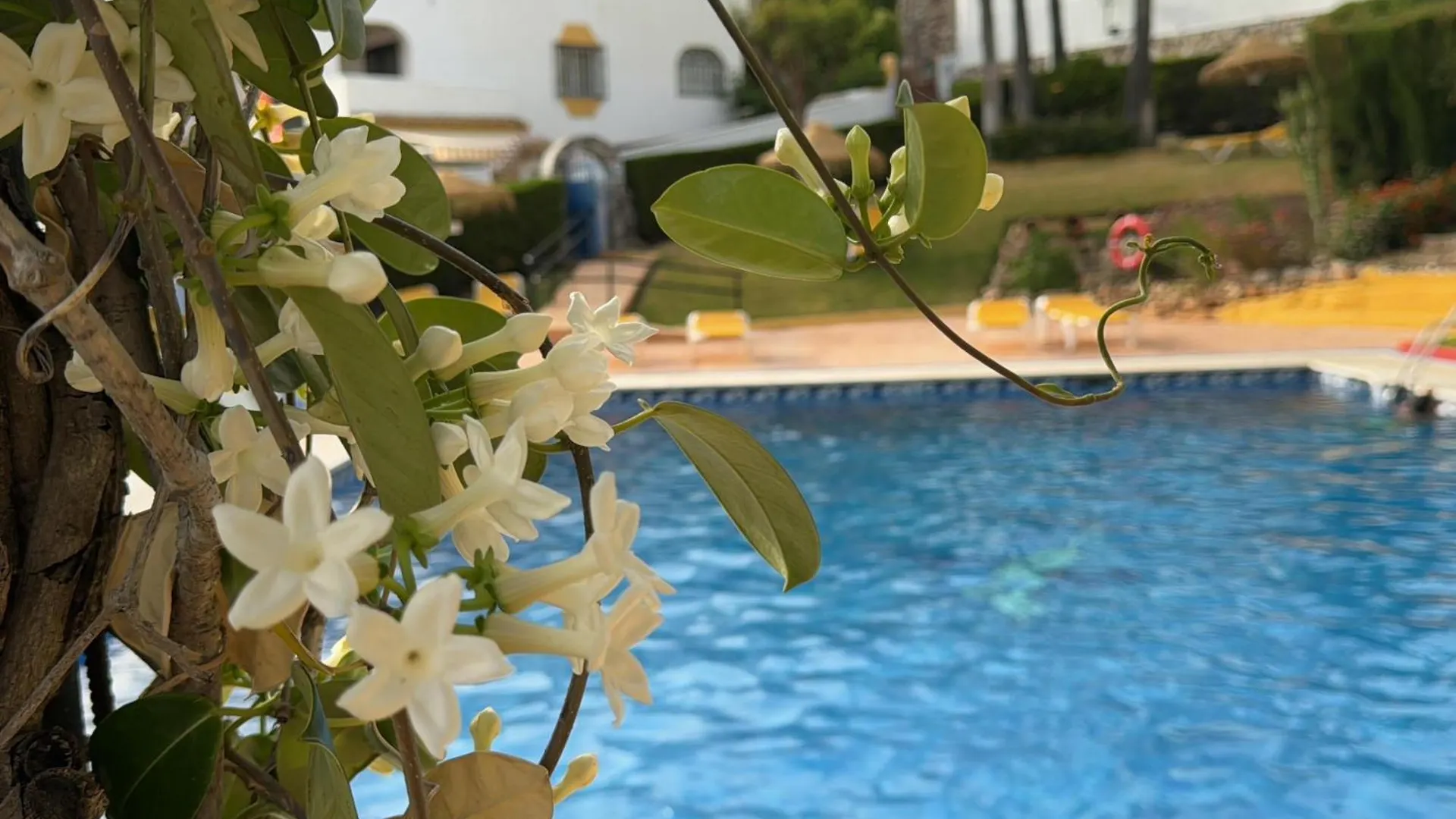 Summer Paradise In Benalmadena 0*,